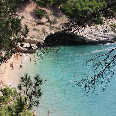 Residence "I Delfini" - Localita Portopiatto - Pugnochiuso - 71019 维耶斯泰 外观 照片
