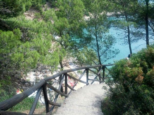 Residence "I Delfini" - Localita Portopiatto - Pugnochiuso - 71019 维耶斯泰 外观 照片